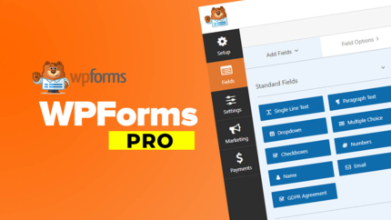 WPForms - Pro (The Most Powerful WordPress Form Builder)